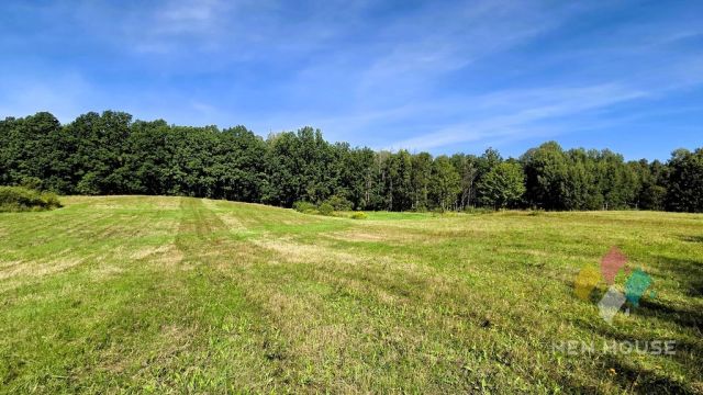 Działka Rozwady. Zdjęcie 8