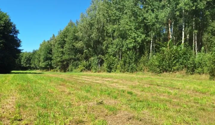 Działka rolno-budowlana Czarne