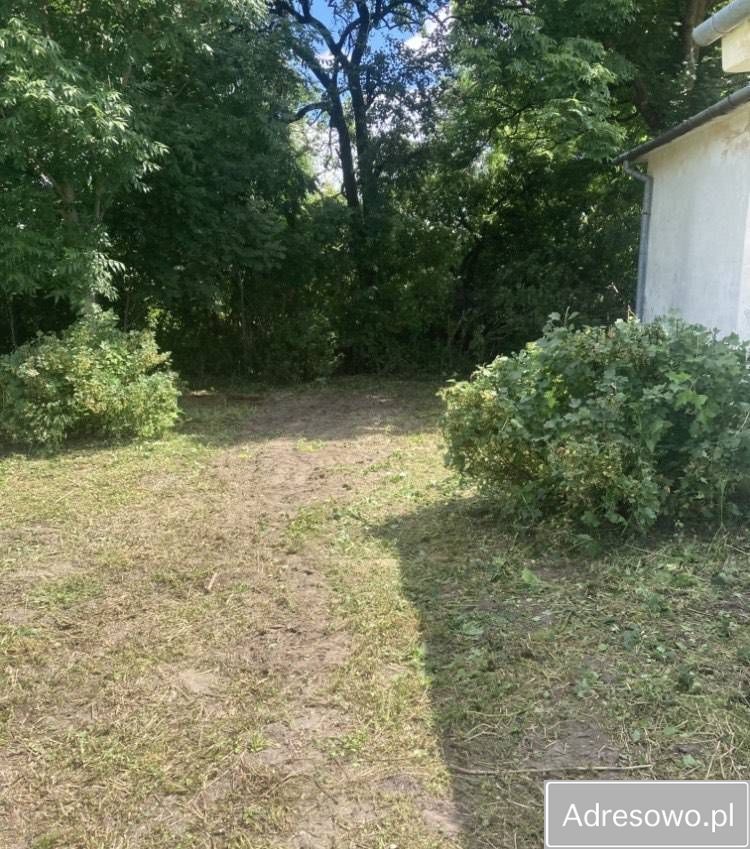 Działka inwestycyjna Kobyla. Zdjęcie 6
