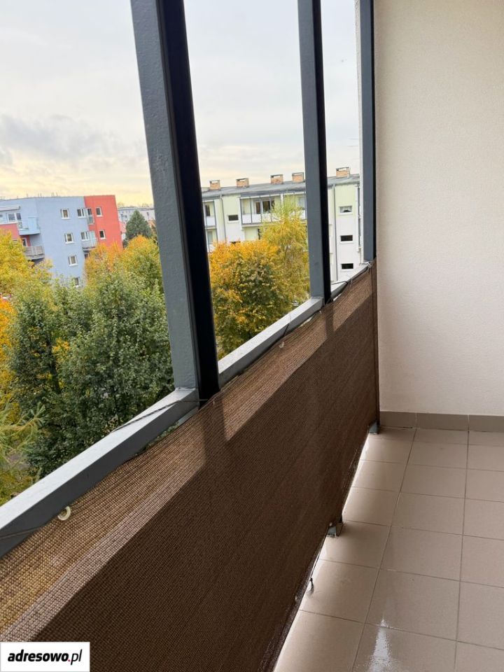 Mieszkanie 2-pokojowe Poznań Grunwald, ul. Międzyborska. Zdjęcie 13