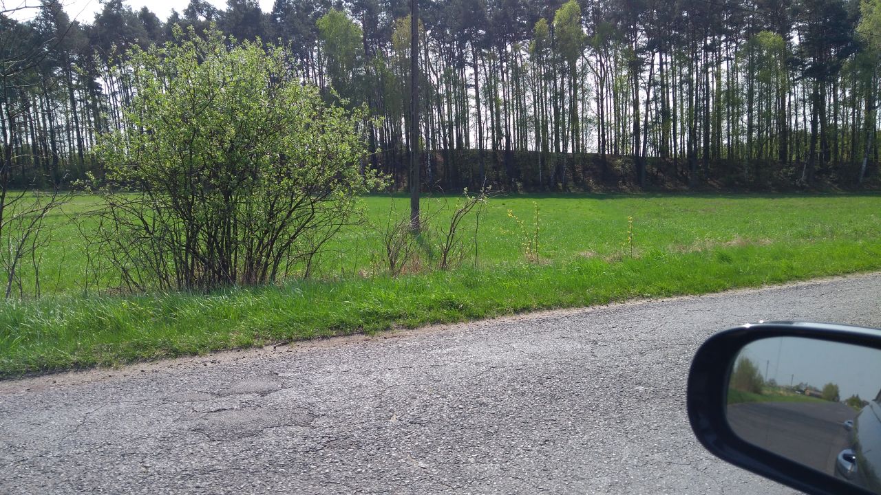 Działka rolno-budowlana Annówka. Zdjęcie 2