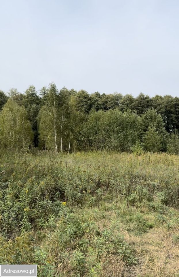 Działka budowlana Kąck