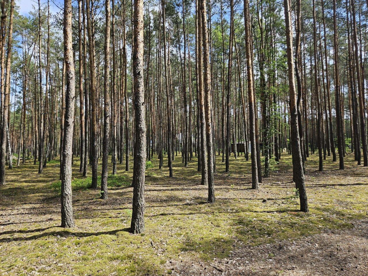 Działka budowlana Choszczowe, ul. Bukowa. Zdjęcie 6