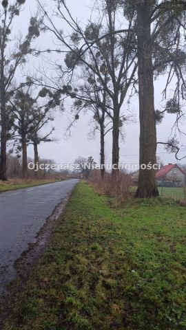 Działka budowlana Więzowno. Zdjęcie 3