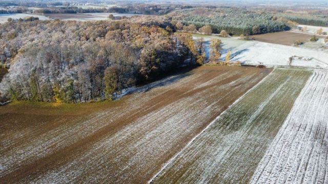 Działka inwestycyjna Prusice. Zdjęcie 2