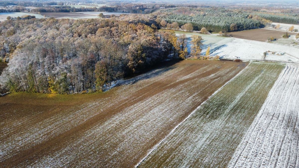 Działka inwestycyjna Prusice. Zdjęcie 2