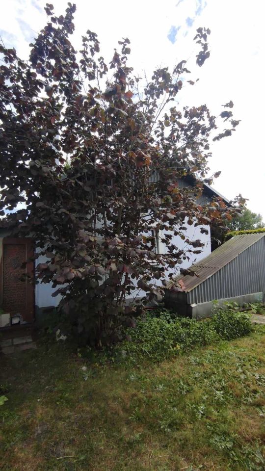 Działka rod Zawada. Zdjęcie 8