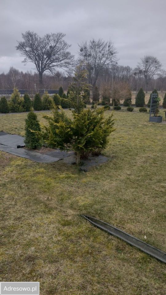 dom wolnostojący, 6 pokoi Bolechowo-Osiedle, ul. Szmaragdowa. Zdjęcie 8