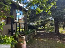 Działka rod Suchy Las. Zdjęcie 4