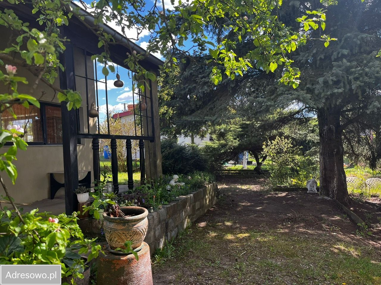 Działka rod Suchy Las. Zdjęcie 5