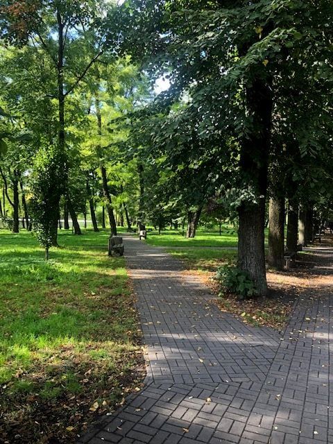 Mieszkanie 2-pokojowe Będzin Grodziec, ul. Marii Konopnickiej. Zdjęcie 17