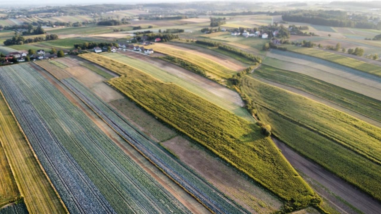 Działka rolno-budowlana Polekarcice. Zdjęcie 6
