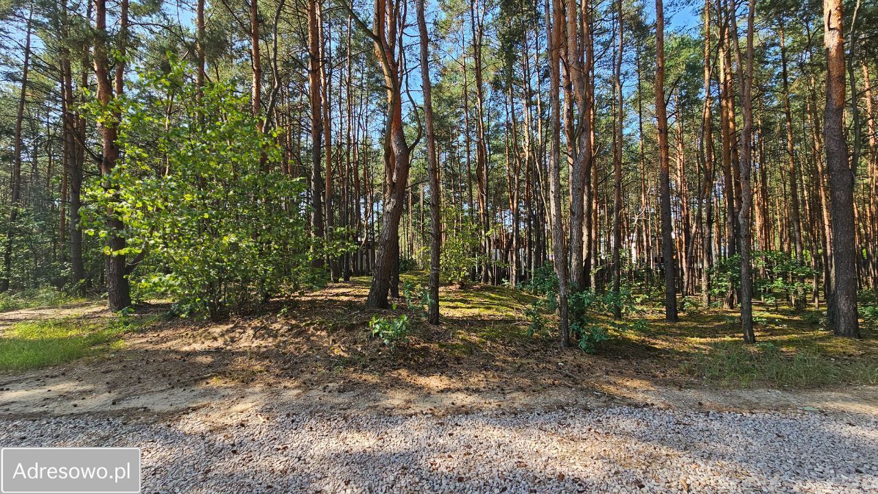 Działka budowlana Hornówek, ul. Jeżynowa. Zdjęcie 12