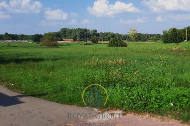 Działka rolna Rudno. Zdjęcie 7