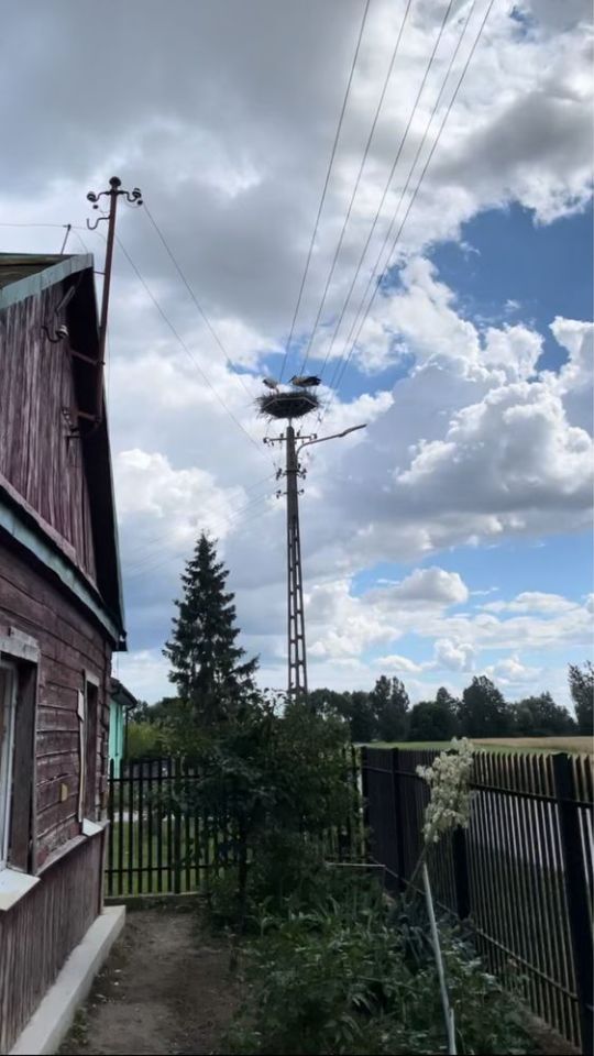 dom wolnostojący Wólka Wojcieszkowska. Zdjęcie 3