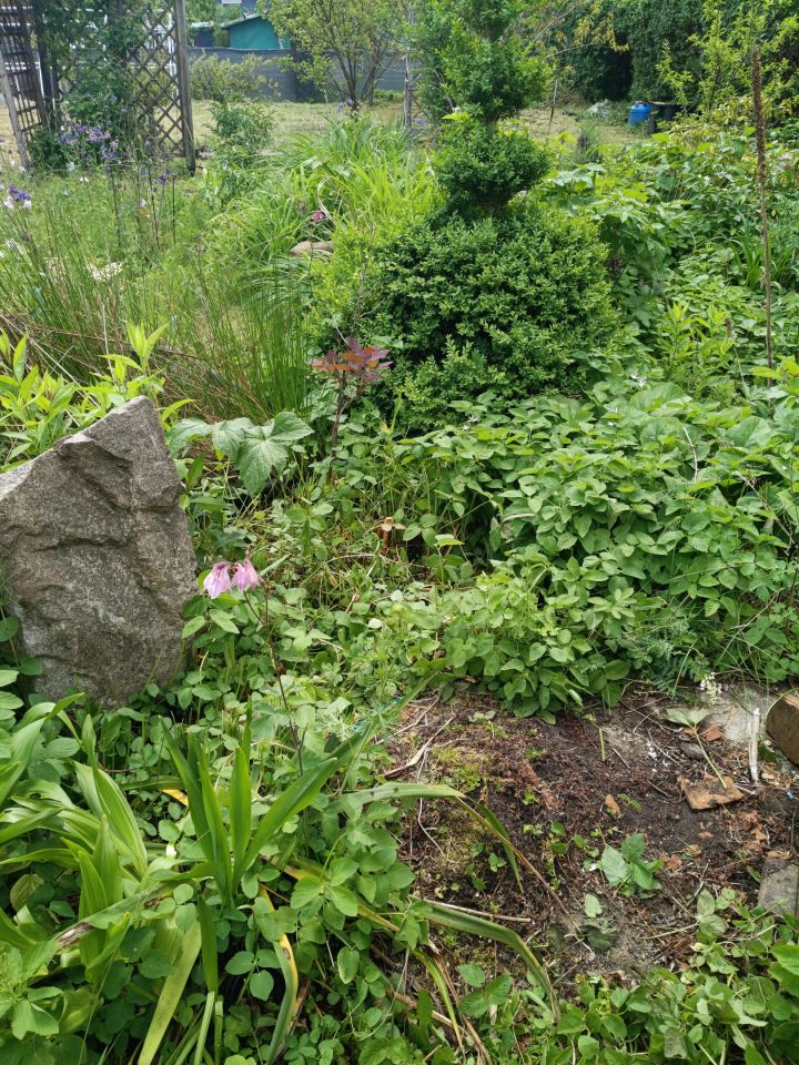 Działka rekreacyjna Zimowiska, Brak. Zdjęcie 27