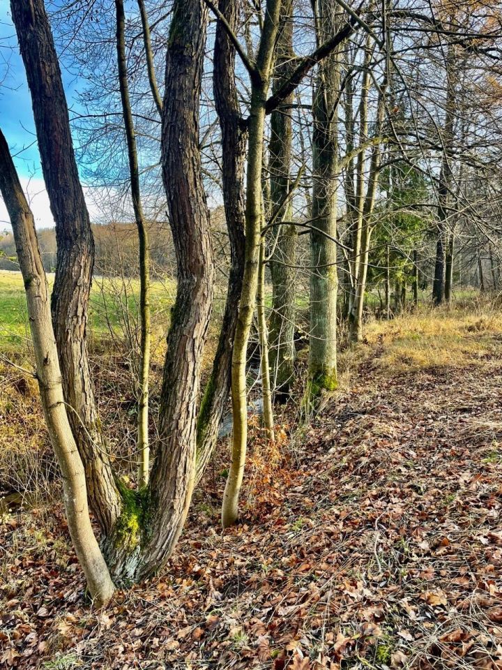 Działka rolno-budowlana Włosań. Zdjęcie 6