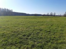 Działka rolno-budowlana Prostyń. Zdjęcie 3