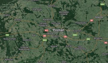 bliźniak Poznań Grunwald