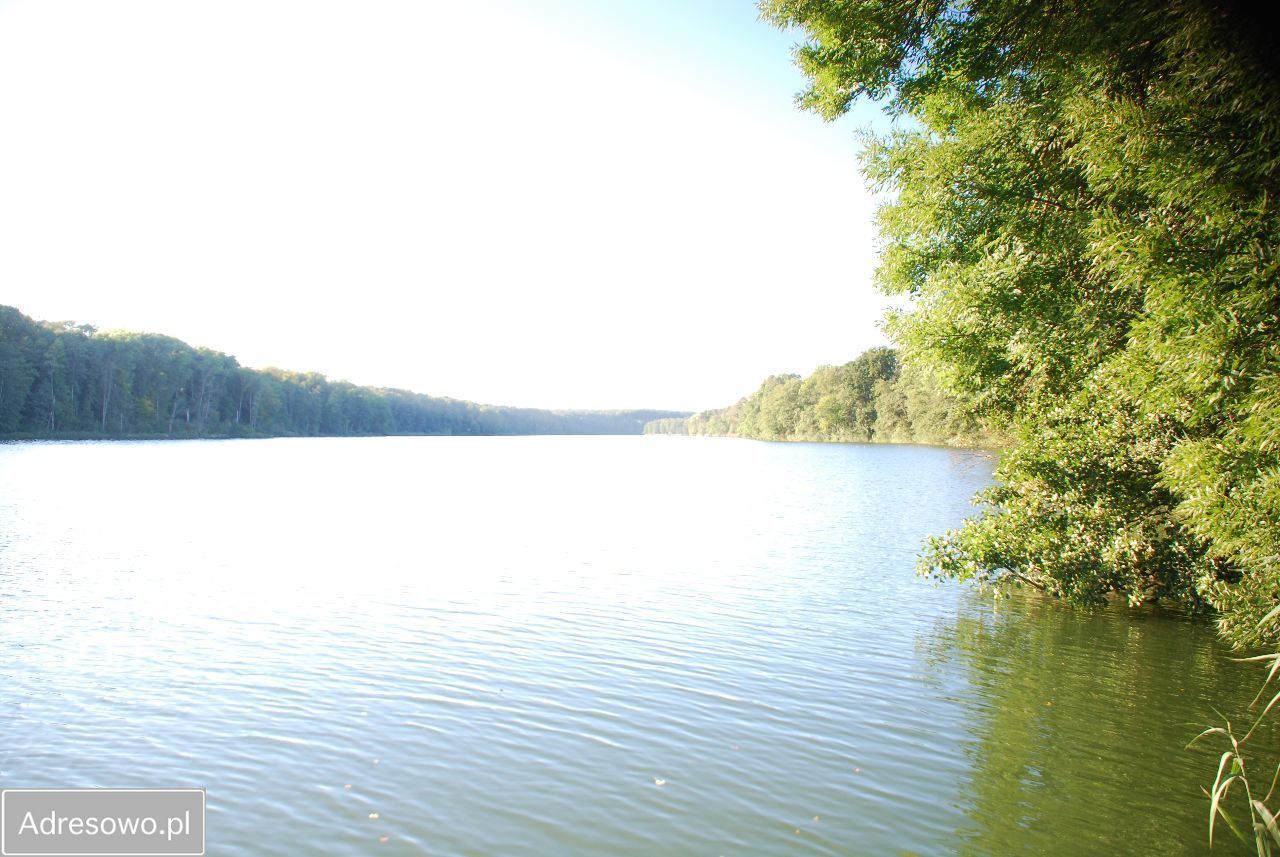 dom wolnostojący, 5 pokoi Lutom. Zdjęcie 10