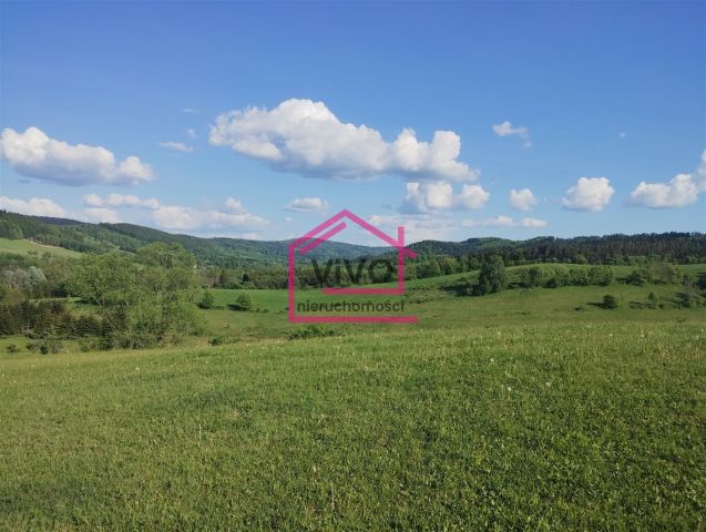 dom wolnostojący Zadwórze. Zdjęcie 4