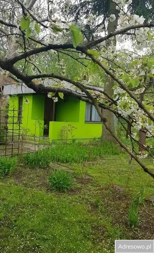 Działka rod Warszawa Siekierki. Zdjęcie 3