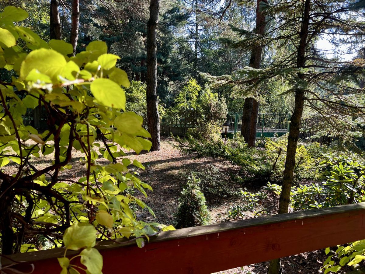 Działka rekreacyjna Niwy Jutroszewskie. Zdjęcie 1