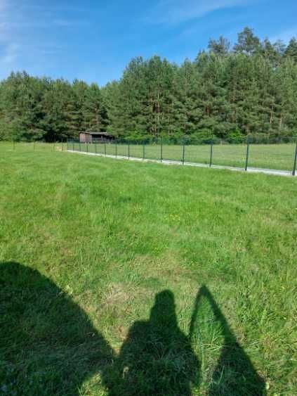 Działka budowlana Piasutno