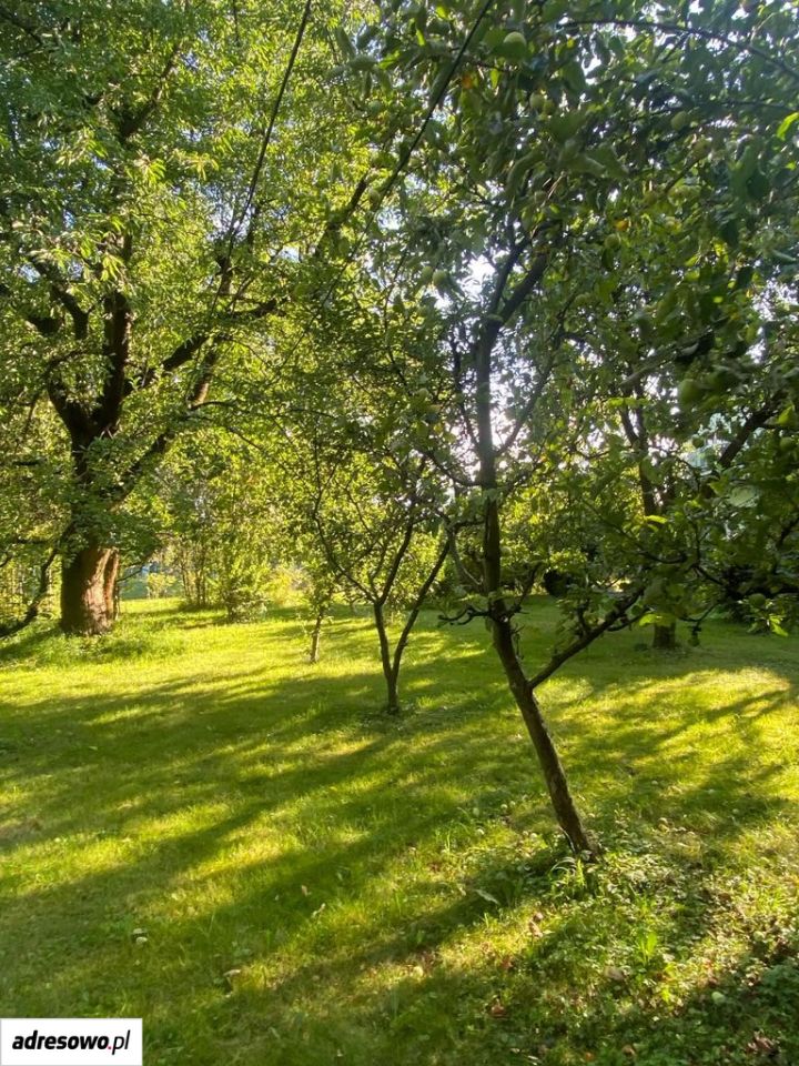 Działka budowlana Cieszyn, al. Piastowska. Zdjęcie 8