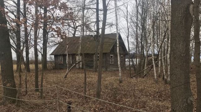 Działka siedliskowa Koski-Wypychy. Zdjęcie 1