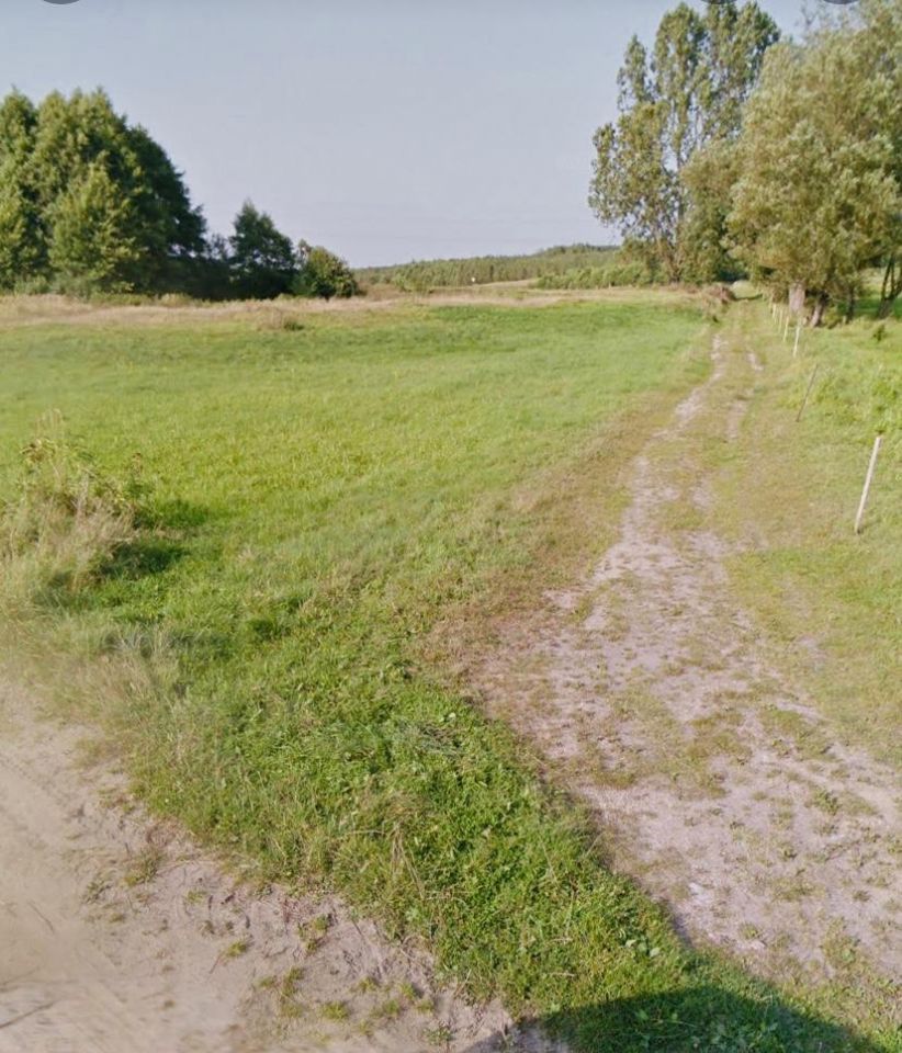 Działka rolna Dalewo. Zdjęcie 8