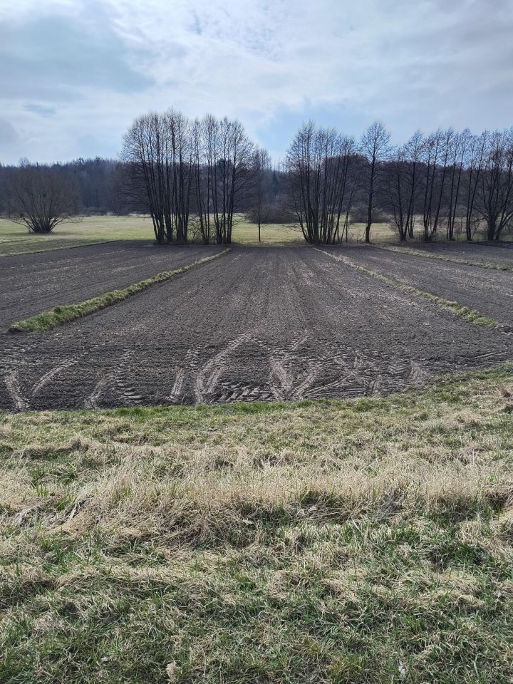 Działka budowlana Rogalów. Zdjęcie 6
