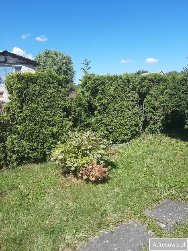 Działka rod Szczecin, ul. Wincentego Witosa. Zdjęcie 5