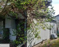 Działka rod Szczaki, ul. Mrokowska. Zdjęcie 2