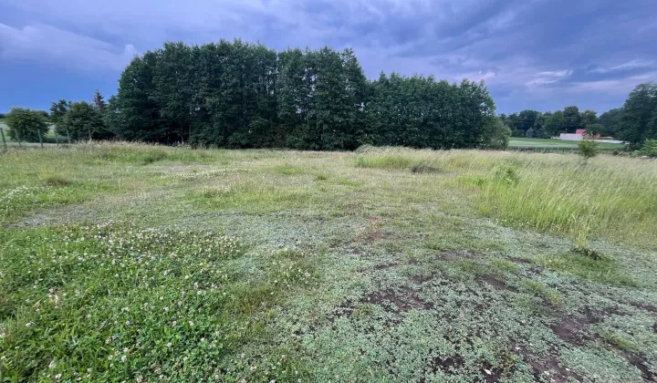 Działka budowlana Żerków, ul. Nad Stawem