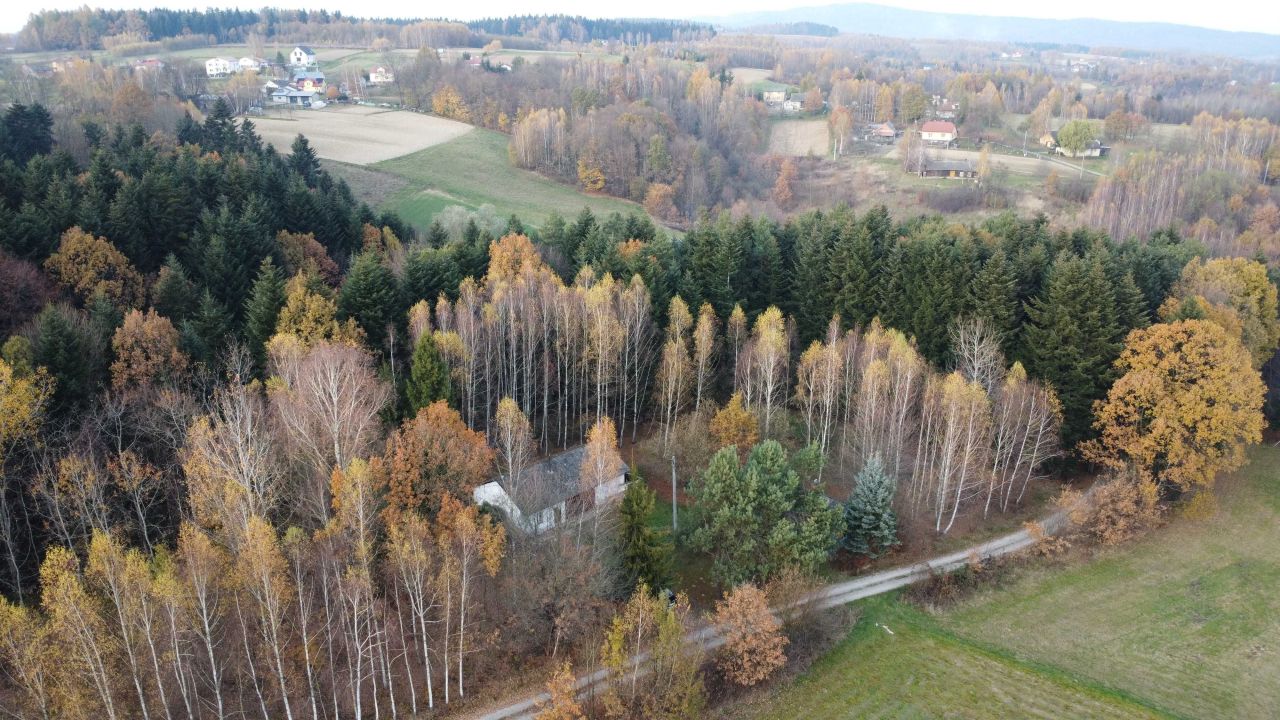 gospodarstwo Skołyszyn. Zdjęcie 3