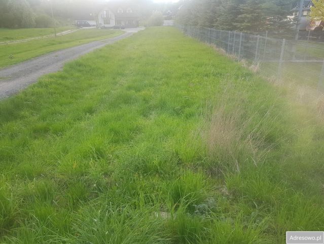 Działka rolna Szaflary. Zdjęcie 1