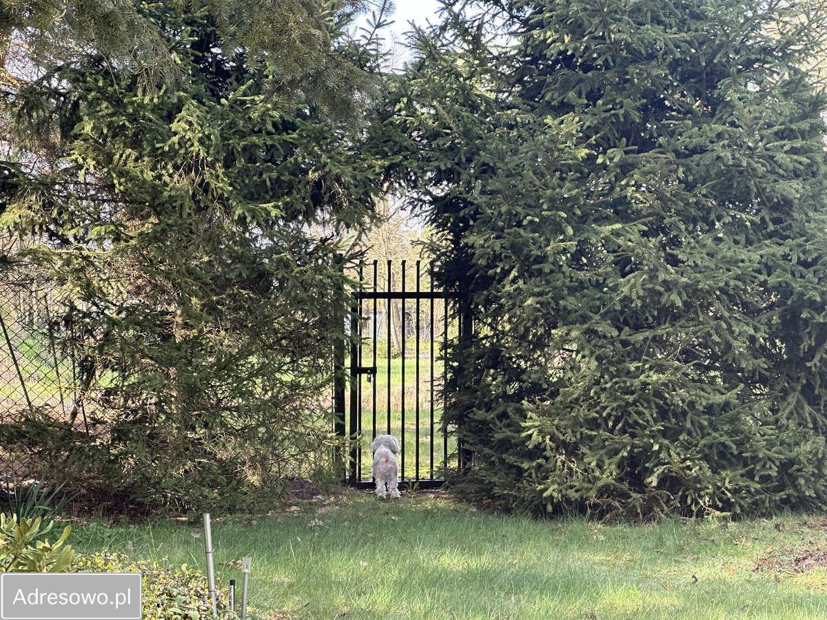 dom wolnostojący, 4 pokoje Biejków. Zdjęcie 6