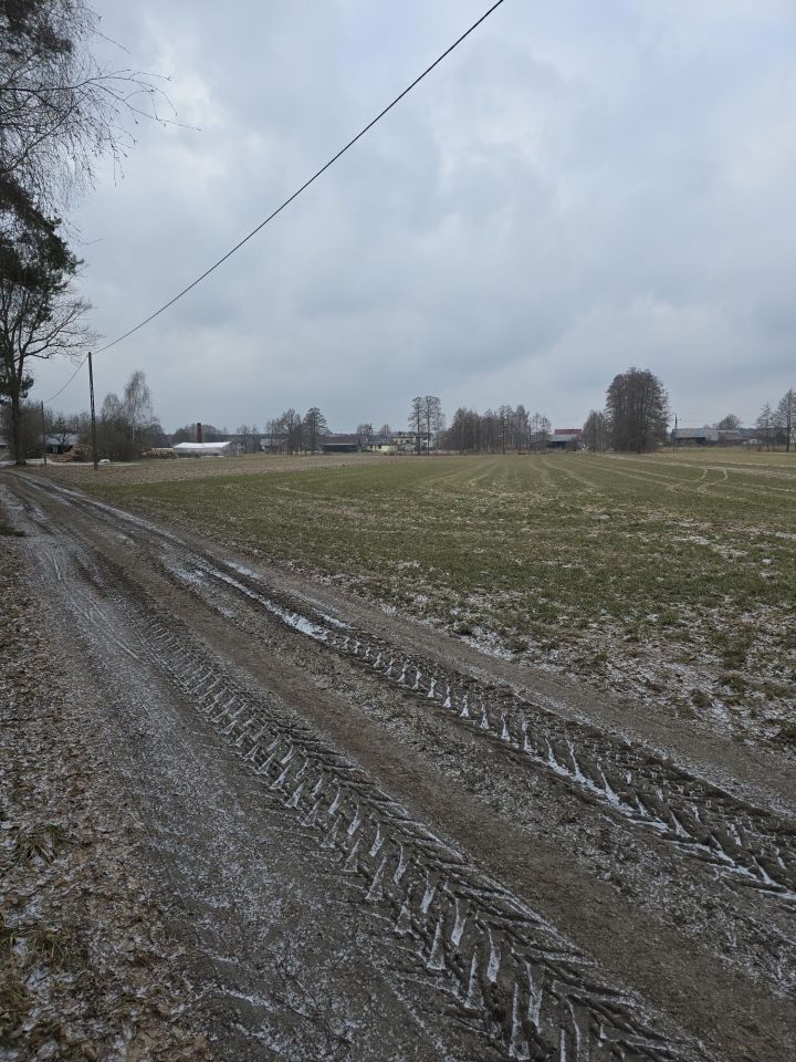 Działka rolna Pieczyska. Zdjęcie 5