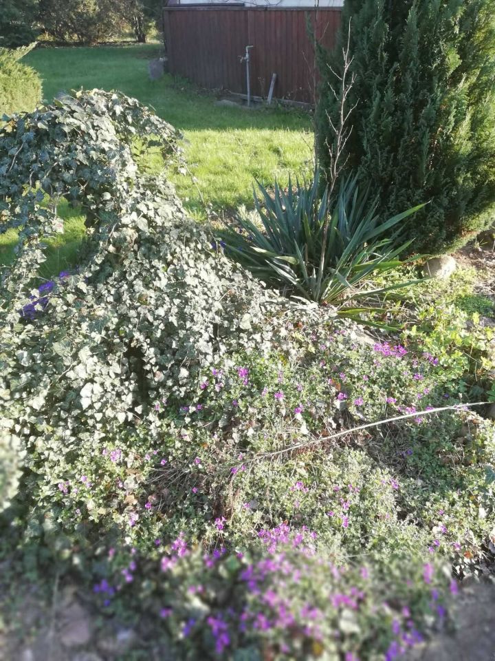 Działka rod Zielona Góra Jędrzychów. Zdjęcie 8