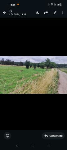 Działka rolno-budowlana Szczecin Płonia, ul. Choinkowa/Mokradłowa. Zdjęcie 3