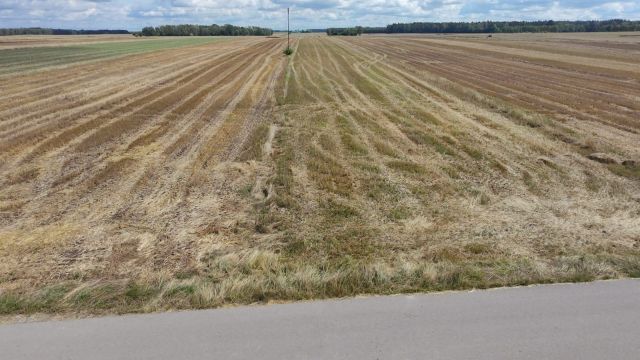Działka rolno-budowlana Przywory Duże. Zdjęcie 1