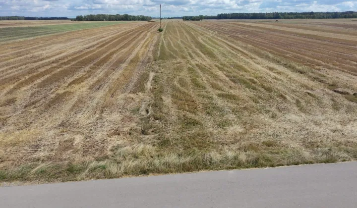 Działka rolno-budowlana Przywory Duże