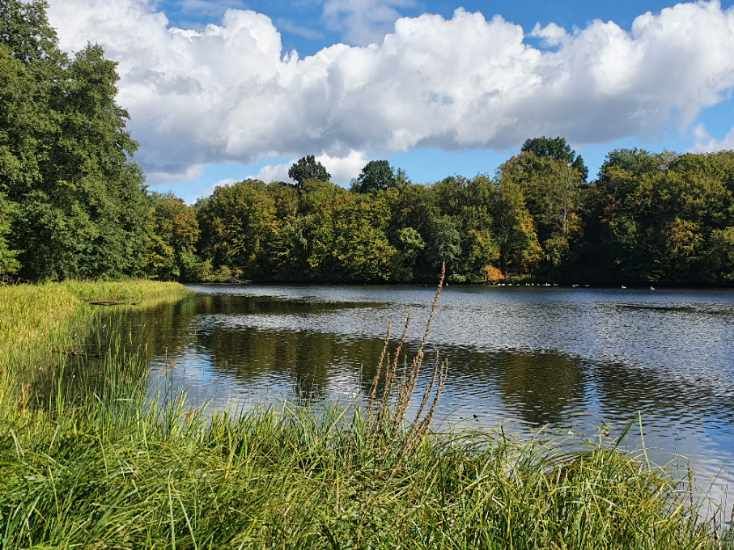 Działka rolna Gościeradz, ul. Kameralna. Zdjęcie 2