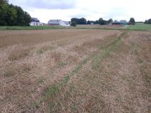 Działka budowlana Jakubowice Konińskie. Zdjęcie 2