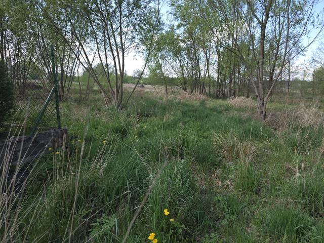 Działka rolno-budowlana Klembów, ul. gen. Franciszka Żymirskiego. Zdjęcie 2