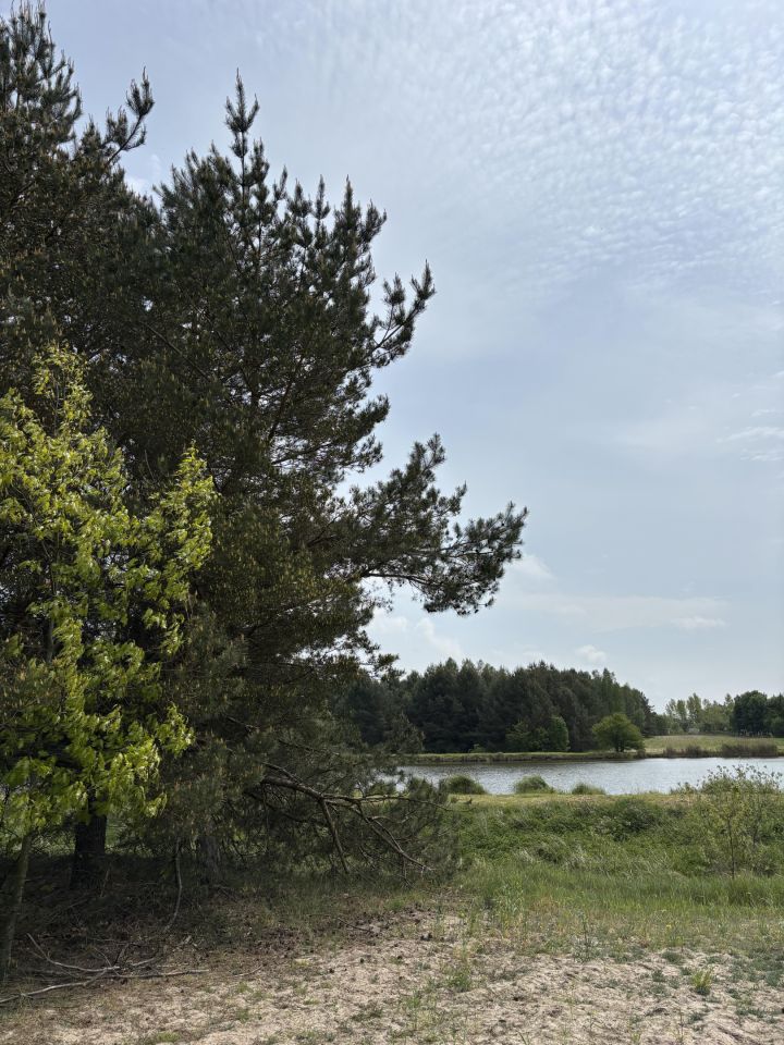 dom wolnostojący, 6 pokoi Wincentów. Zdjęcie 26