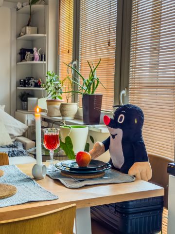 Mieszkanie 1-pokojowe Piastów, al. marsz. Józefa Piłsudskiego. Zdjęcie 1