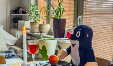 Mieszkanie 1-pokojowe Piastów, al. marsz. Józefa Piłsudskiego