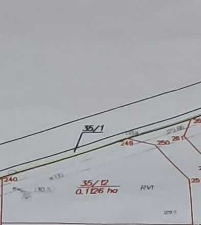 Działka budowlana Borowe. Zdjęcie 2